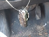 1G1ZG5ST6LF****** Salvage 2020 Chevrolet Malibu in Mississippi State