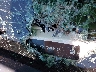 1HGCV2F3XKA****** Used 2019 Honda Accord in Englishtown