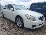 1N4BA41E87C****** Salvage and Wrecked 2007 Nissan Maxima in AL - Headland