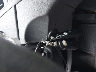 5NPEB4AC3CH****** Salvage 2012 Hyundai Sonata in Maryland State