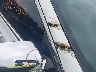 2C3CCABG6DH****** Salvage and Repairable 2013 Chrysler 300 in Connecticut State