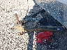 1UJBJ02R881****** Repairable 2008 Jayco Jay Flight in Wichita