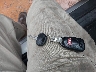 KMHDH4AE6CU****** Salvamento 2012 Hyundai Elantra en Estado de Carolina del Norte