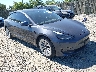 5YJ3E1EB0MF****** Salvage and Wrecked 2021 Tesla Model 3 in Northern Virginia