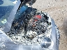 3C3CFFJH9JT****** Reparables 2018 Fiat 500 en Estado de Massachusetts