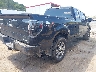 1FTFX1EF8EK****** Salvage and Wrecked 2014 Ford F-150 in West Virginia State