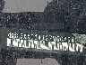 5XXG14J27MG****** Repairable 2021 Kia K5