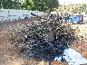 4VZ1U1R13PC****** Salvamento 2023 Spartan Motors Motorhome en Estado de Texas