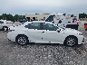 4T1C11AK3PU****** Used 2023 Toyota Camry in Florida State