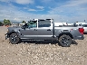 1FTFW1ED1PF****** Used 2023 Ford F-150 in Colorado State
