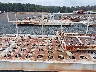 0000000CR15****** Wrecked 2001 Equipment Steel Gse 9333 in Monticello