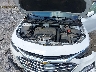 1G1ZD5ST5PF****** Reparables 2023 Chevrolet Malibu en Charleston