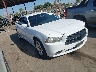 2C3CDXAT6DH****** Salvage and Wrecked 2013 Dodge Charger Police in Fresno
