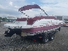 GDY1341***** Salvage and Wrecked 2013 Godfrey Other in Indiana State