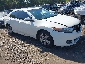 JH4CU26689C****** Salvamento y Destrozados 2009 Acura TSX en Long Island