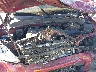 5FNYF18535B****** Repairable 2005 Honda Pilot in Fort Wayne