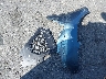 3MW5R1J01L8****** Wrecked 2020 BMW 3 Series in California State