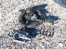 3FMCR9C68PR****** Salvage 2023 Ford Bronco Sport in Georgia State