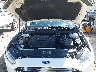 3FA6P0K95FR****** Reparables 2015 Ford Fusion en Lafayette