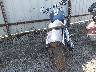 1HD1GYM1XCC****** Salvage and Repairable 2012 Harley-Davidson FXDF in Oklahoma State