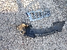 1C4RJECG1CC****** Wrecked 2012 Jeep Grand Cherokee in Louisiana State