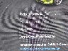 5YJYGAEE3MF****** Wrecked 2021 Tesla Model Y
