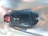 1C4PJLCB1GW****** Salvamento 2016 Jeep Cherokee en Estado de Oklahoma