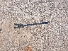 ETC3091***** Wrecked 1983 Ebbtide 17' in Texas State