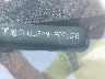 5YJ3E1EA9MF****** Repairable 2021 Tesla Model 3