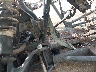 3JBAKAJ20PE****** Reparables 2023 Can-Am Commander en Oklahoma City