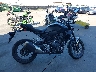 MLHNC5551S5****** Salvage 2025 Honda CB300R in California State