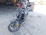 MLHNC5551S5****** Used and Repairable 2025 Honda CB300R in Rec Rides Online Exclusive
