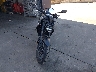 MLHNC5551S5****** Used and Repairable 2025 Honda CB300R in California State