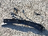 3GTU9FEL6LG****** Wrecked 2020 GMC Sierra 1500 in Oklahoma State