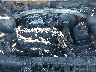 5NTJDDDF1SH****** Repairable 2025 Hyundai Santa Cruz in Austin