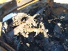 5NTJDDDF1SH****** Salvage 2025 Hyundai Santa Cruz in Austin