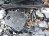 5XYK6CAF1PG****** Repairable 2023 Kia Sportage in Metro DC