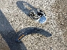 WMWZC5C52CW****** Wrecked 2012 MINI Cooper S Countryman in Illinois State