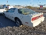 1G2AS8719EL****** Salvamento y Reparables 1984 Pontiac Firebird en El Paso