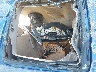 2GCEK19T031****** Wrecked 2003 Chevrolet Silverado 1500 in East Bay