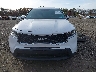 5XYRGDLC5PG****** Wrecked 2023 Kia Sorento in New York State