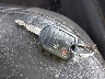 2FMDK4JC4DB****** Salvage 2013 Ford Edge in Indiana State
