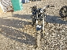 JYARM32E3RA****** Used and Repairable 2024 Yamaha MT-07 in New York State