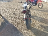 JYARM32E3RA****** Salvage and Repairable 2024 Yamaha MT-07 in New York State