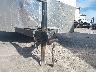 5NHUVH219MY****** Salvage 2021 Forest River Other in Texas State