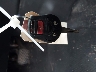 JN8AS5MV6EW****** Salvamento 2014 Nissan Rogue en Estado de Nueva York