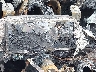 5FNYG1H84SB****** Repairable 2025 Honda Pilot in Illinois State