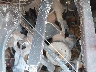 1GCHK33J8TF****** Reparables 1996 Chevrolet GMT-400 en Tulsa