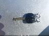 5NPEB4AC4DH****** Salvage 2013 Hyundai Sonata in Louisiana State