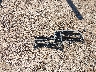 1B7HG38N82S****** Wrecked 2002 Dodge Dakota in Texas State